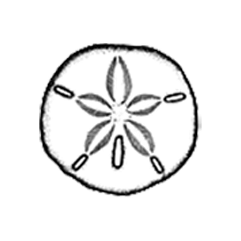 #2476 - Sand Dollar - Ocean